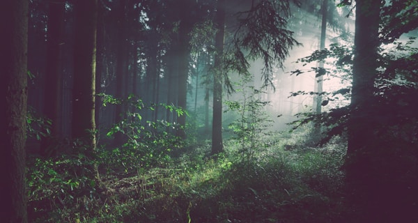 Why Green Hosting Matters: Clytrix Eco-Friendly Infrastructure